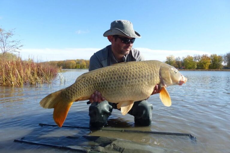 Forfaits de chasse aux oiseaux au canard — Service de Guide Roger Gladu – Service de Guide Roger Gladu