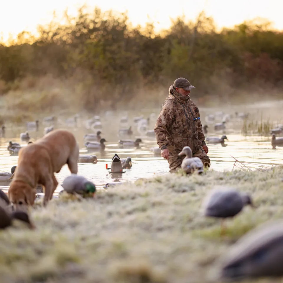 guides de chasse et de pêche