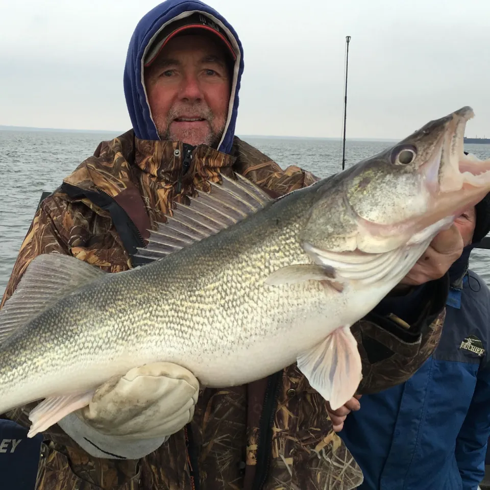 guides de chasse et de pêche